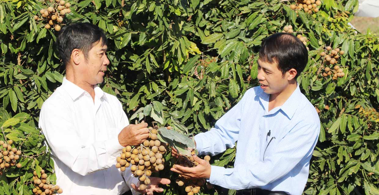 KÔNG CHRO QUAN TÂM PHÁT TRIỂN KINH TẾ TẬP THỂ