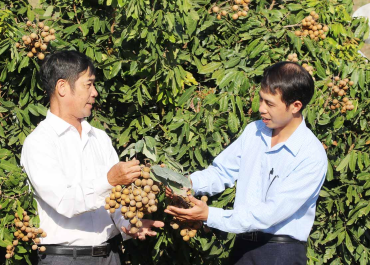 KÔNG CHRO QUAN TÂM PHÁT TRIỂN KINH TẾ TẬP THỂ