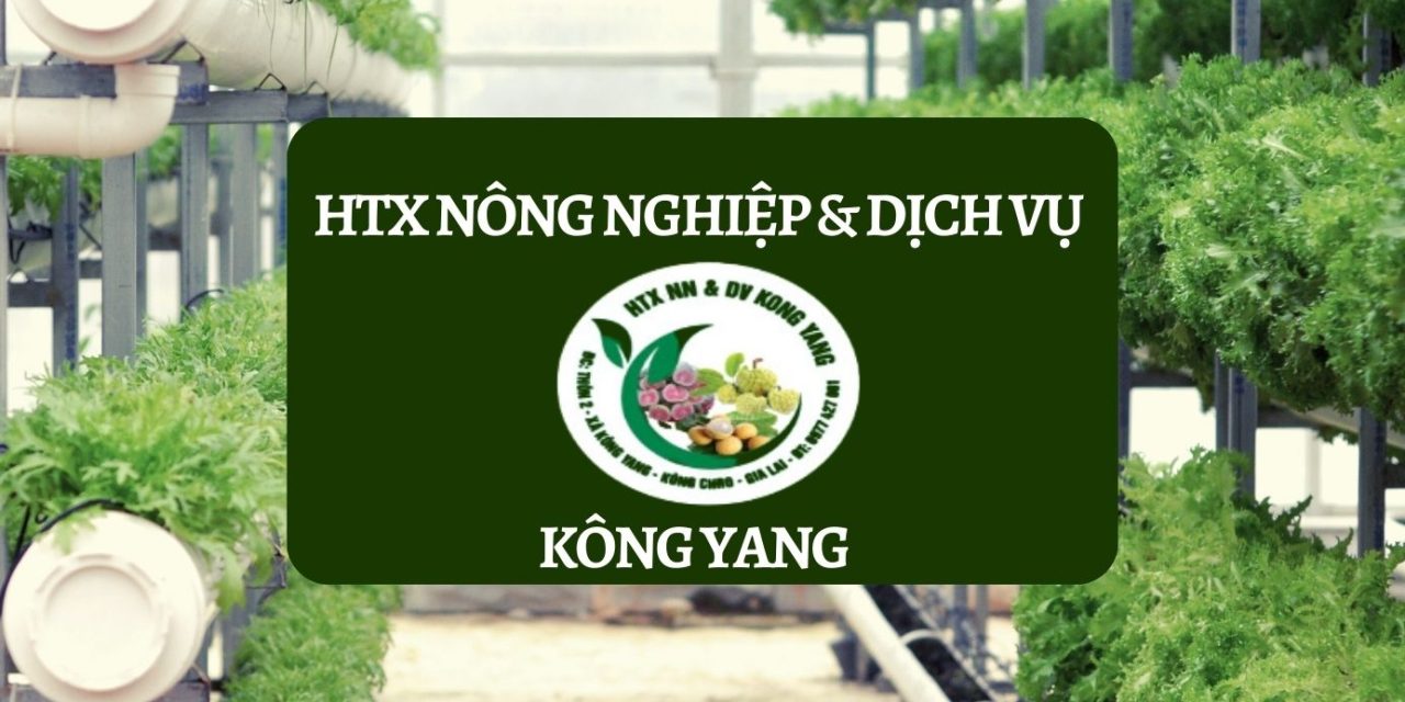 HTX Nông nghiệp & dịch vụ