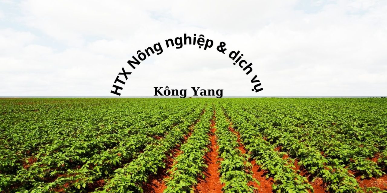 Thiết kế chưa có tên (1)