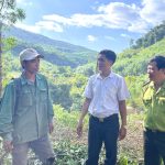 NGƯỜI DÂN KÔNG CHRO THOÁT NGHÈO NHỜ TRỒNG RỪNG