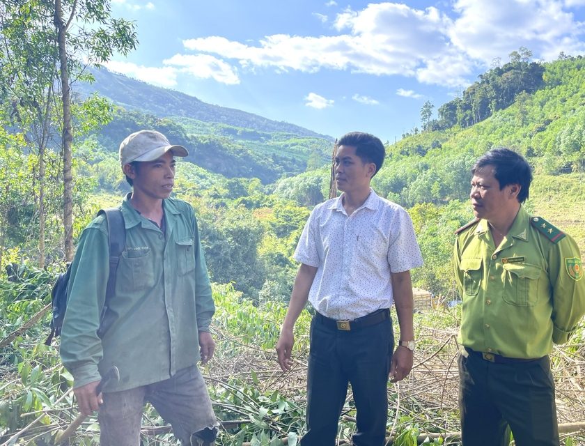 NGƯỜI DÂN KÔNG CHRO THOÁT NGHÈO NHỜ TRỒNG RỪNG