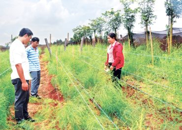 Chư Prông: NÔNG NGHIỆP CÔNG NGHỆ CAO LÀ HƯỚNG ĐI CHỦ ĐẠO